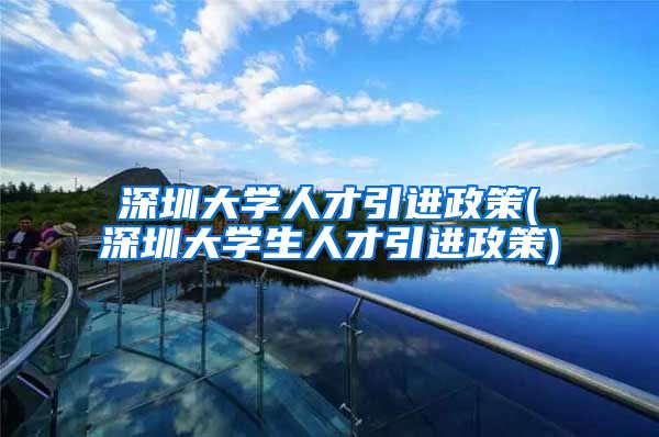 深圳大学人才引进政策(深圳大学生人才引进政策)