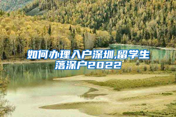 如何办理入户深圳,留学生落深户2022