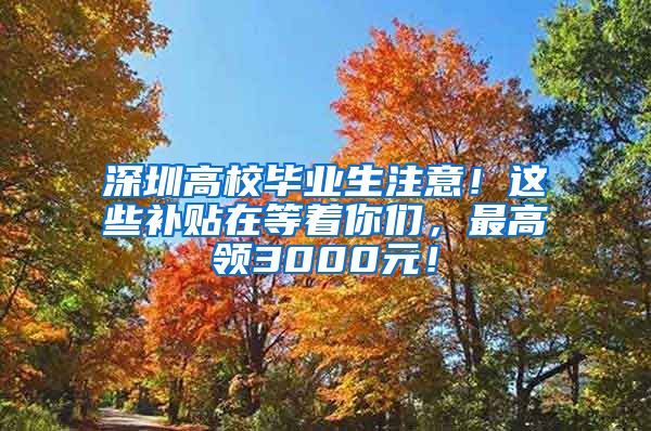 深圳高校毕业生注意！这些补贴在等着你们，最高领3000元！