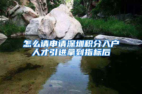 怎么请申请深圳积分入户人才引进拿到指标后