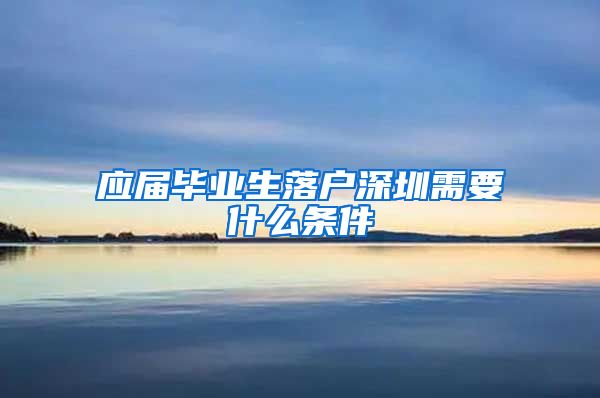 应届毕业生落户深圳需要什么条件