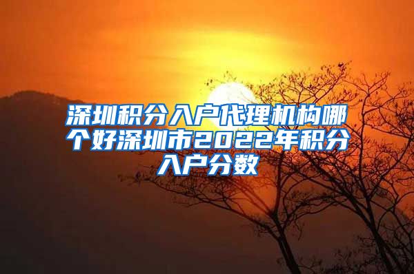 深圳积分入户代理机构哪个好深圳市2022年积分入户分数