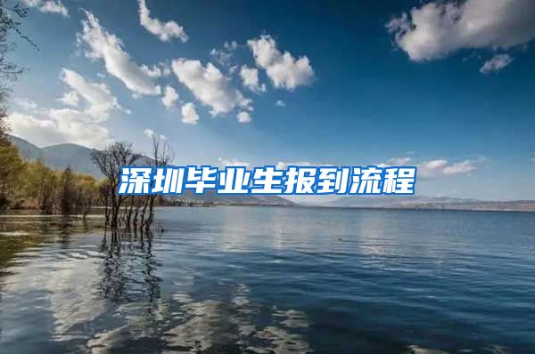 深圳毕业生报到流程