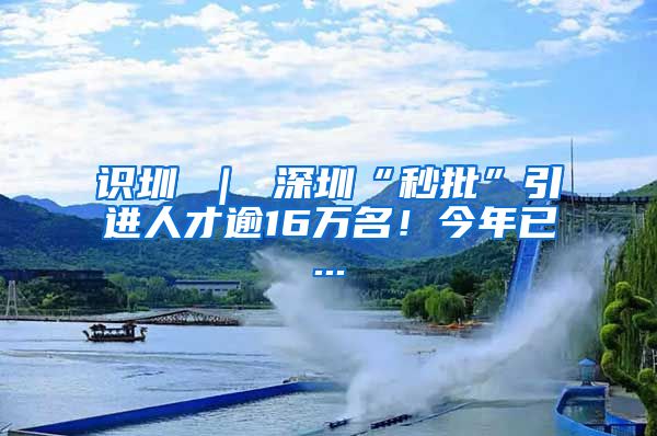 识圳 ｜ 深圳“秒批”引进人才逾16万名！今年已...