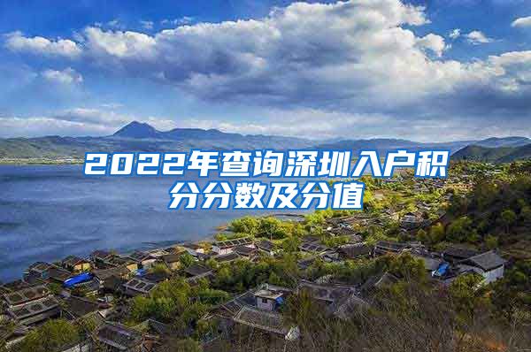 2022年查询深圳入户积分分数及分值