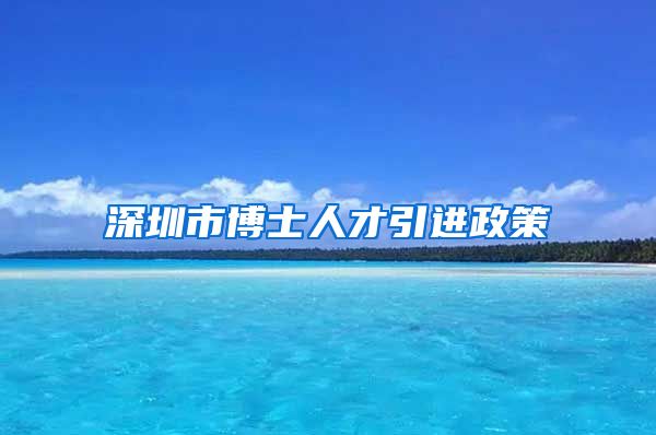 深圳市博士人才引进政策