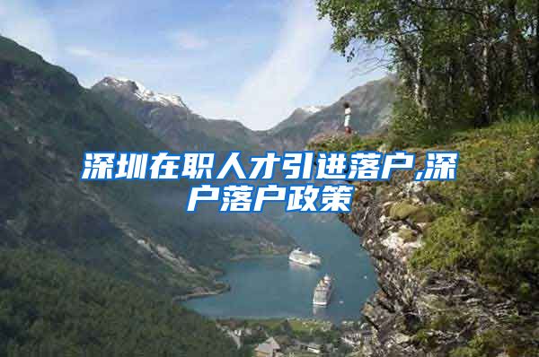 深圳在职人才引进落户,深户落户政策