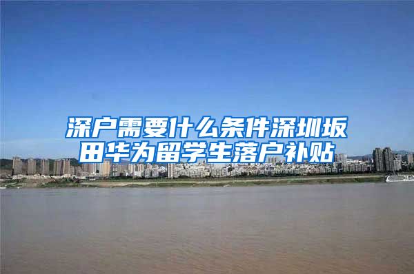 深户需要什么条件深圳坂田华为留学生落户补贴