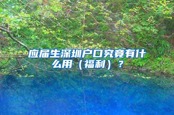 应届生深圳户口究竟有什么用（福利）？