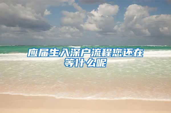 应届生入深户流程您还在等什么呢