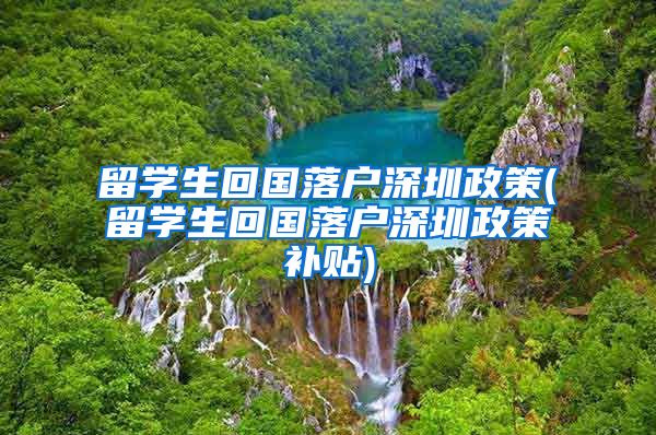 留学生回国落户深圳政策(留学生回国落户深圳政策补贴)