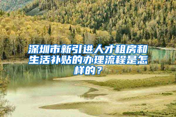 深圳市新引进人才租房和生活补贴的办理流程是怎样的？