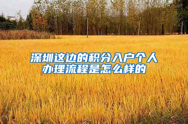 深圳这边的积分入户个人办理流程是怎么样的