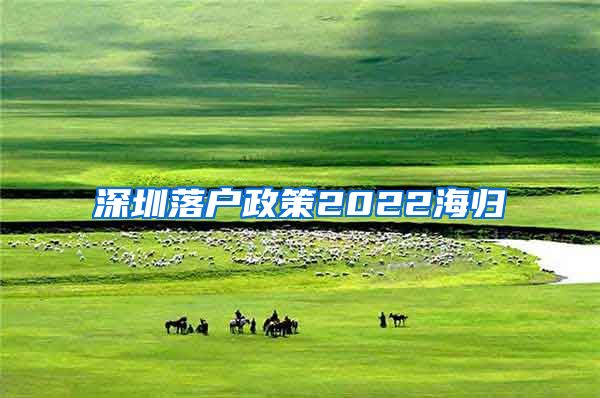 深圳落户政策2022海归