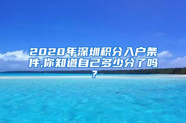 2020年深圳积分入户条件,你知道自己多少分了吗？