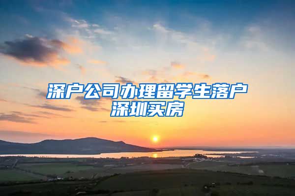 深户公司办理留学生落户深圳买房