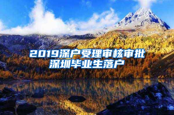 2019深户受理审核审批深圳毕业生落户