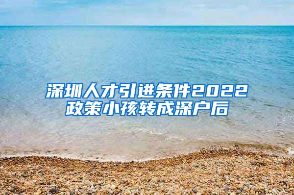 深圳人才引进条件2022政策小孩转成深户后