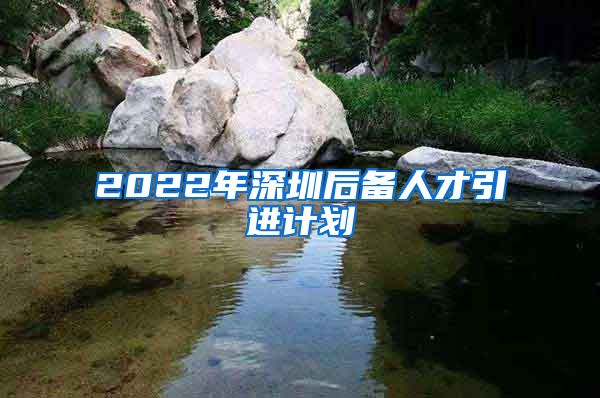 2022年深圳后备人才引进计划