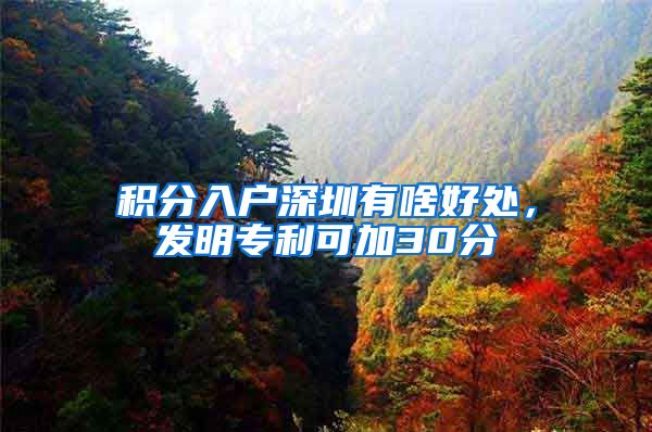积分入户深圳有啥好处，发明专利可加30分