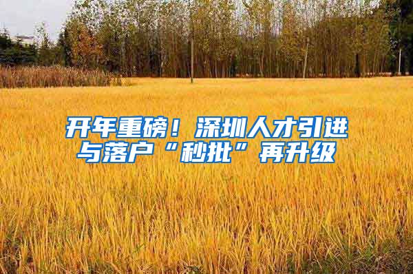 开年重磅！深圳人才引进与落户“秒批”再升级