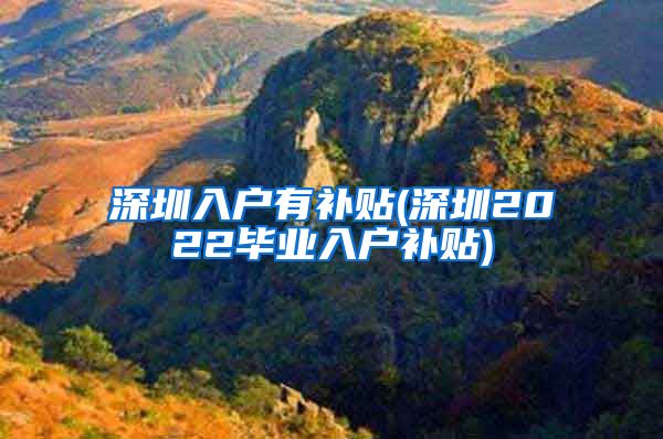 深圳入户有补贴(深圳2022毕业入户补贴)