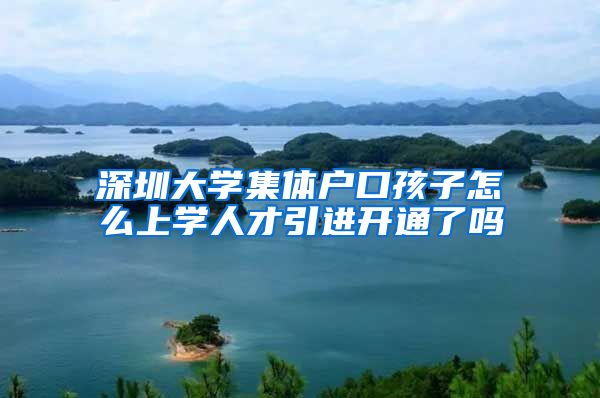 深圳大学集体户口孩子怎么上学人才引进开通了吗