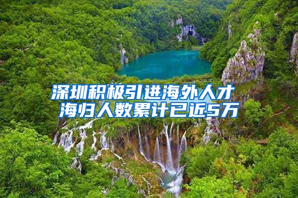 深圳积极引进海外人才 海归人数累计已近5万