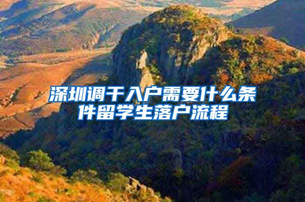 深圳调干入户需要什么条件留学生落户流程
