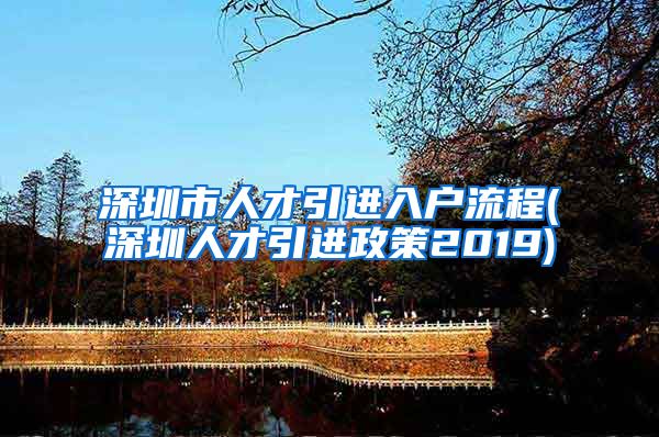 深圳市人才引进入户流程(深圳人才引进政策2019)