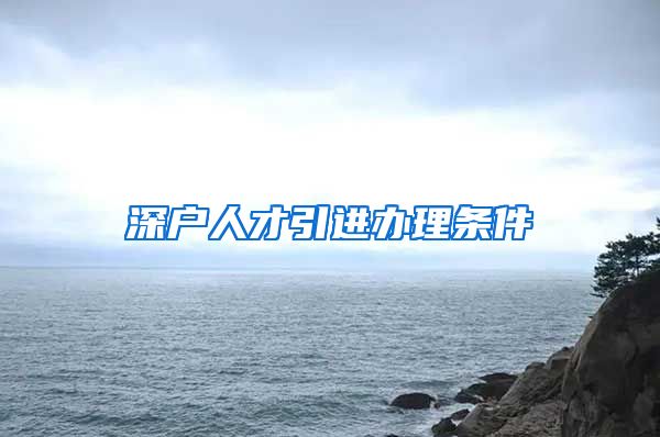 深户人才引进办理条件