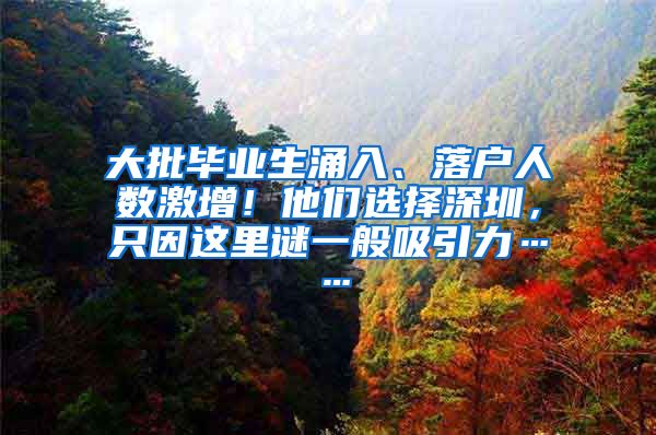 大批毕业生涌入、落户人数激增！他们选择深圳，只因这里谜一般吸引力……