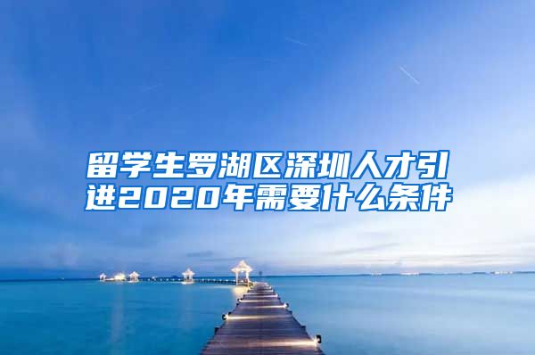 留学生罗湖区深圳人才引进2020年需要什么条件