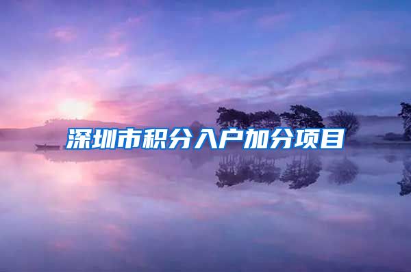 深圳市积分入户加分项目