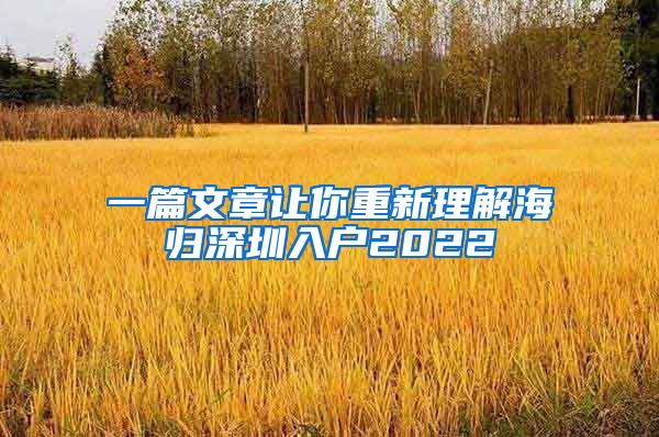 一篇文章让你重新理解海归深圳入户2022