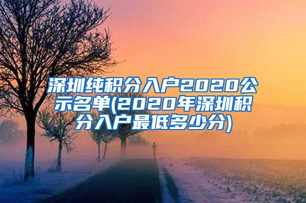 深圳纯积分入户2020公示名单(2020年深圳积分入户最低多少分)