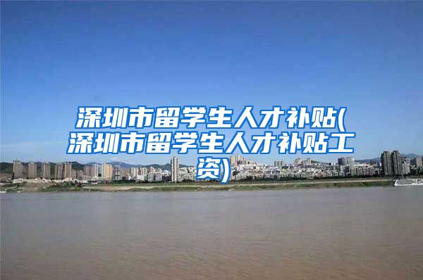 深圳市留学生人才补贴(深圳市留学生人才补贴工资)