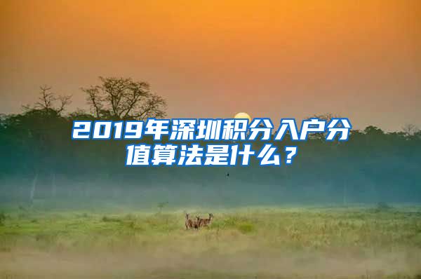 2019年深圳积分入户分值算法是什么？