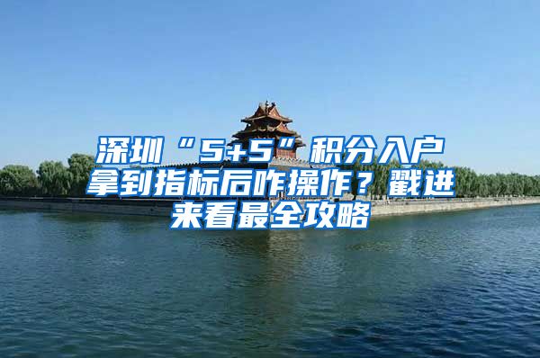 深圳“5+5”积分入户拿到指标后咋操作？戳进来看最全攻略