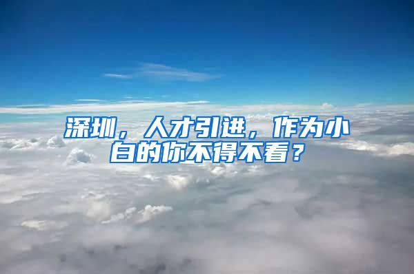 深圳，人才引进，作为小白的你不得不看？