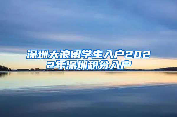 深圳大浪留学生入户2022年深圳积分入户