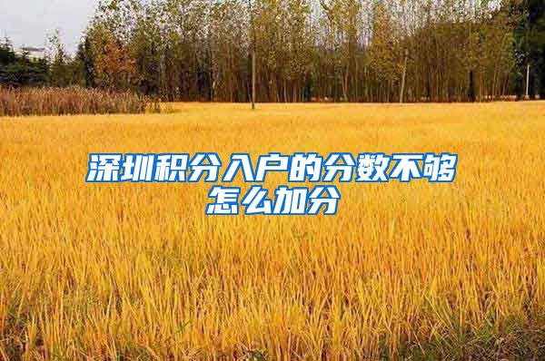 深圳积分入户的分数不够怎么加分