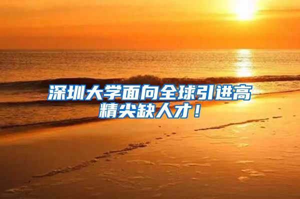 深圳大学面向全球引进高精尖缺人才！