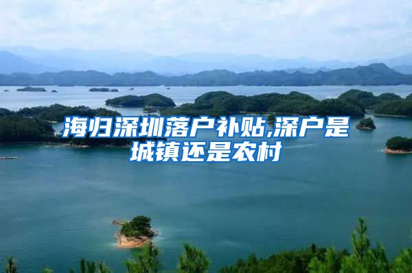 海归深圳落户补贴,深户是城镇还是农村