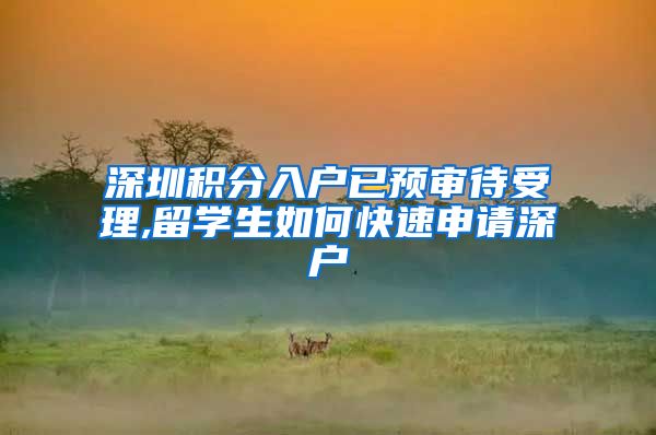 深圳积分入户已预审待受理,留学生如何快速申请深户