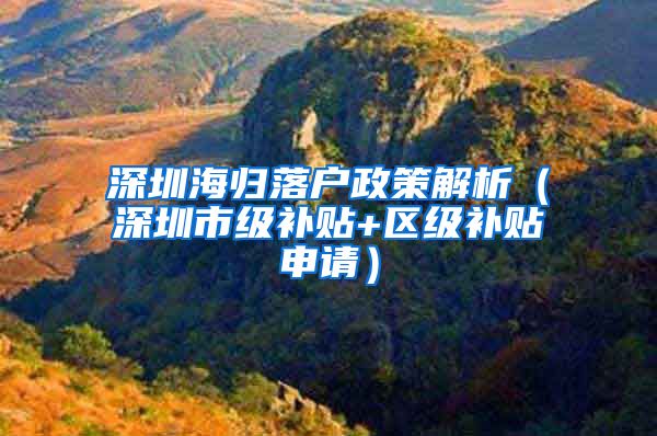 深圳海归落户政策解析（深圳市级补贴+区级补贴申请）