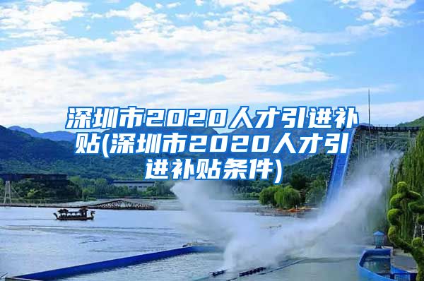 深圳市2020人才引进补贴(深圳市2020人才引进补贴条件)