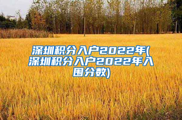 深圳积分入户2022年(深圳积分入户2022年入围分数)