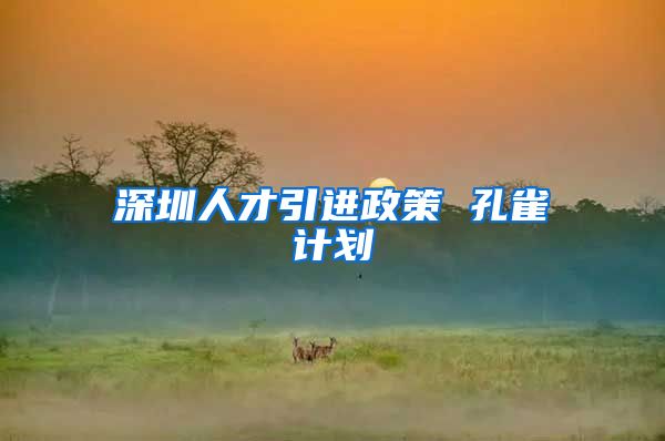 深圳人才引进政策 孔雀计划