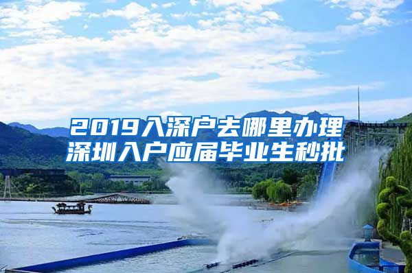 2019入深户去哪里办理深圳入户应届毕业生秒批